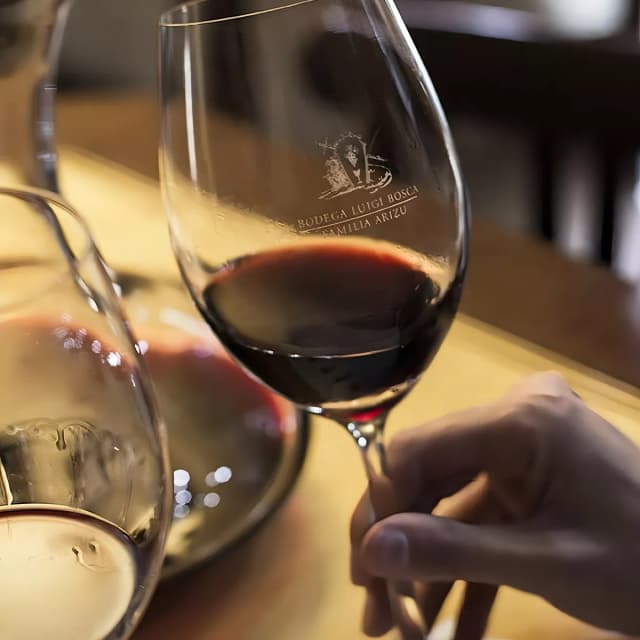 Vino Luigi Bosca Cabernet Sauvignon 750ml