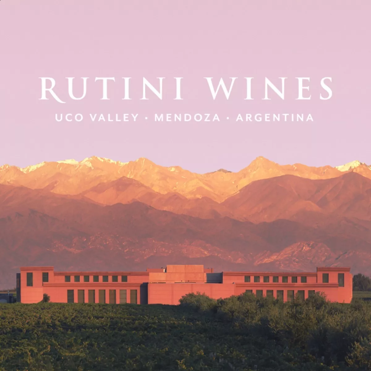 Vino Rutini Cabernet Malbec 750ml Rutini Wines